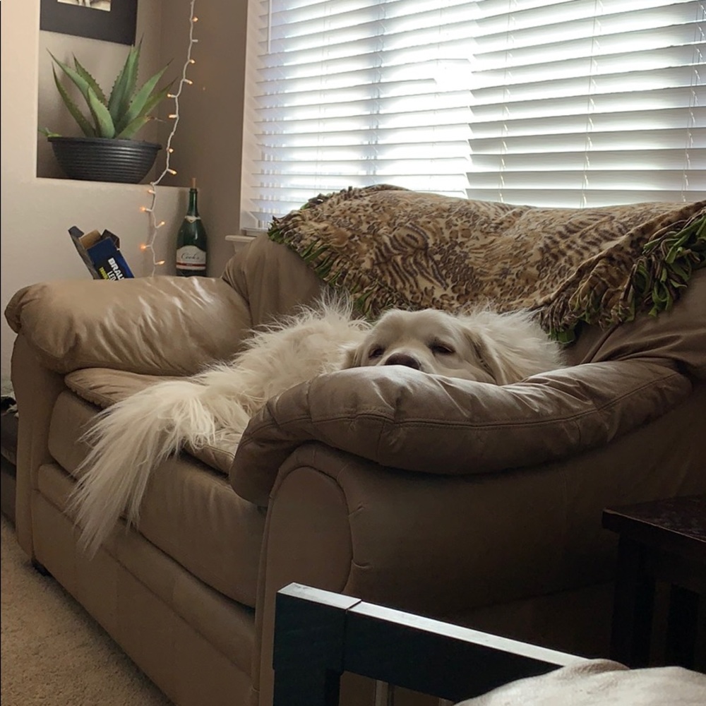 Meet your Posher, Shawna